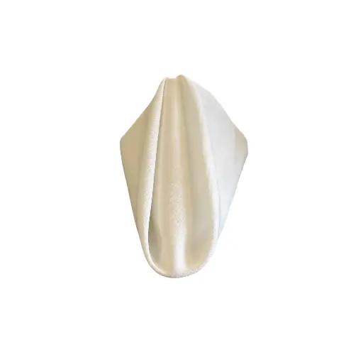 Napkins:  White