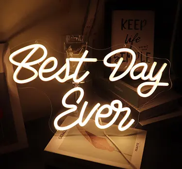 Neon Sign: Best Day Ever 